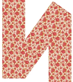 Femme Souleiado Étole | Toute La Collection | Etoles PETITE ROULOTTE 70 x 200 cm